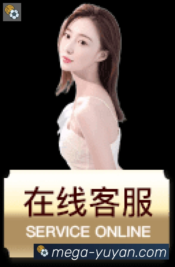 登录器